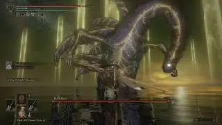 STUN LOCK ELDEN BEAST WITH DUAL WIELD!!