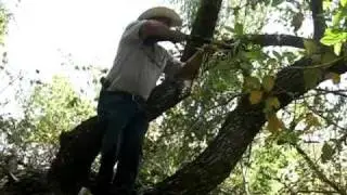 Epic Hunting Fail in Jalpa Jalisco