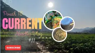 Poush 15 Current Noodles Vlog, Cooking at Farming Field #food #farming #foodblogger #currentnoodles