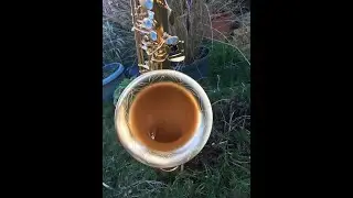 Live from Home #146- More sax n chat from the Zen Den