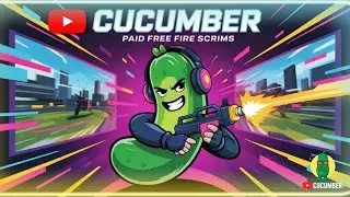 CUCUMBER Live Stream