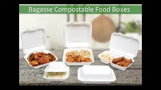 Bagasse Compostable Food Takeout Boxes: Sustainable Packaging Solutions