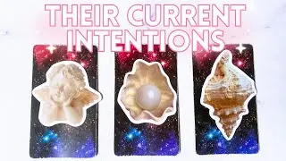 🐚✨YOUR PERSON&rsquo;S INTENTIONS TOWARDS YOU✨🐚 PICK A CARD Tarot reading