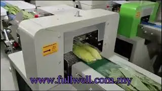 Horizontal Pillow Type Packing Machine (Vegetable)
