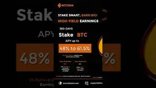 Bitcoiva 61.5% return