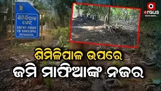 Mayurbhanj: Land Mafia Targets Similipal Jungle, Forest Dept Takes No Action