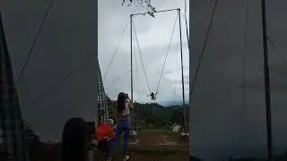 Real swing while looking 6000 coffee 🌲 at wanagiri Coffee plantation Bali Indonesia