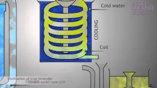 True Lavender : distillation scheme animated