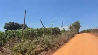 Sítio massarandoba #Feira Grande Alagoas 