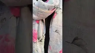 Buy our exclusive collection linen fabric. #viral #shorts #linen #shortvideo #shopping