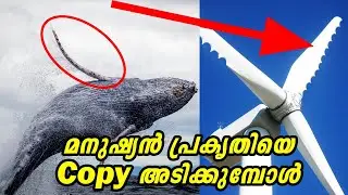 Biomimicry | പ്രകൃതിയിൽ നിന്നു മനുഷ്യൻ കടമെടുത്ത Technologies