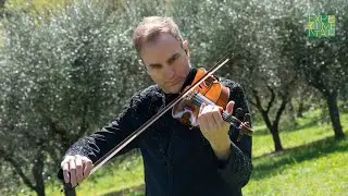 Stefan Milenkovich | Assisi @ Experimental Vim 2025