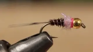 Frenchie Nymph