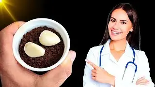 Кофе с чесноком и медом заставит ваш пенис встать твердым как камень, и вы меня поблагодарите.