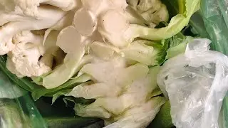 “देसी अंदाज़ में गरमागरम गोभी-मटर-आलू पराठा 😋 | सस्ता, स्वादिष्ट और झटपट रेसिपी,GK