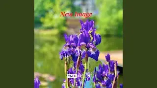 New Image