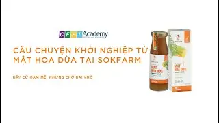 KHỞI NGHIỆP TỪ MẬT HOA DỪA | CHIA SẺ TỪ CEO SOKFARM