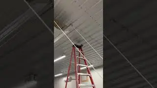 Shipping Container Shop Build - (Part 3) Ceiling Panel Installation # shipping container shop