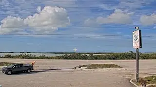 [LIVE] Baby's Coffee Live Cam