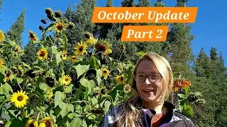 Goodbye Garden | October Update 2025 (Part 2)