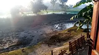Duck farming ॥Duck farm in Assam #duckfarming #farming