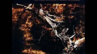 Twisted Into Form - Erased