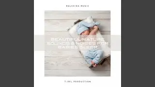 Relief Sounds