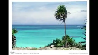 Tulum, M&eacute;xico - Nature Moments