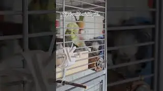 Fipsi geht's nicht gut🥺