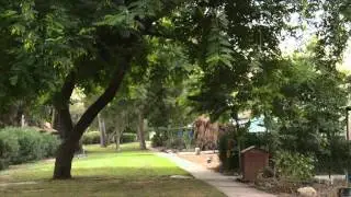 סרט המשך - עין השלושה, יותר מאלף מילים/ A sequel - Ein HaShlosha, More Than A Thousand Words