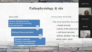 TIPS-ECHO Season 197: FCPM 44 Session 16|Wound Management|Sr Anna Daniel Rao
