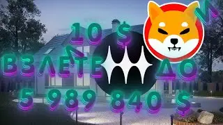 УРАГАН КАТРИНА. Сибо ину криптовалюта, шиба ину прогноз, mim swarm coin, mim swarm