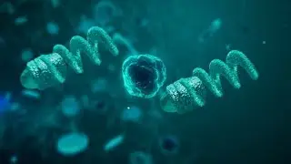 Helical Micro and Nanopropellers for Applications in Biological Fluidic Environments