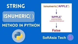 (MM) Understanding the isnumeric() Method in Python