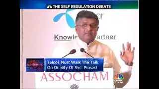 THE SELF REGULATION DEBATE