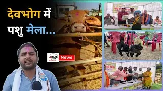 देवभोग में भव्य पशु प्रदर्शनी मेला, मुर्गा और गाय की नस्लों ने जीता सभी का दिल | DEVBHOG NEWS