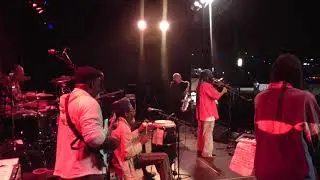 ROOTZ LIONS  live at de 
