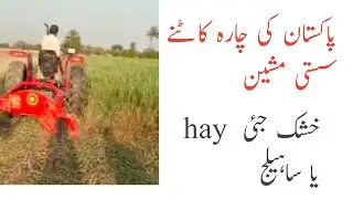OAT  Silage and Hay
