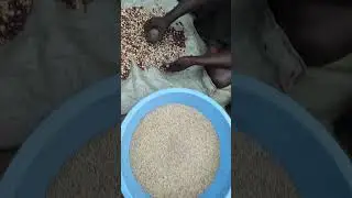 Making peanut butter #luo #acoli #food #Odii