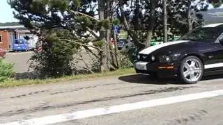 Mustang Treffen Schweiz