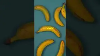 Bananas  The Radioactive Snack  🍌 #facts #themoreyouknow #science #banana #radioactive
