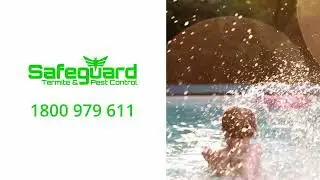 Safeguard Pest Control - Summer Pests