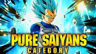 THE PURE SAIYAN CATEGORY IS THE BEST TEAM FOR F2P & P2P PLAYERS! (DBZ: Dokkan Battle)