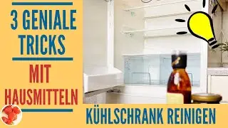 3 Geniale Tricks: SO EINFACH kannst du deinen KÜHLSCHRANK reinigen 💥 mit natürlichen Hausmitteln
