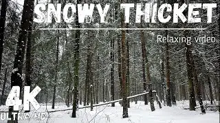 Spring summer in the snow haze | Winter fights for power with spring warmth | Last snow 4K UHD video