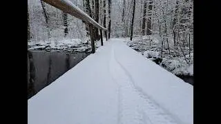 Winter Trail Riding in Large Town Forest #outdoorfun #trailriding #fatbiking #winterfun #nature