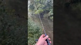 Trout Fishing on a Rainy Day #kalkalboots
