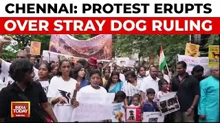 Chennai Protests Against Supreme Court's Stray Dog Order; Children Demand Justice