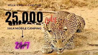 Best Budget Safari in Yala? Full Day Leopard Hunt + Mobile Camping | LKR 25,000 P/P