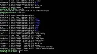 Linux - Searching